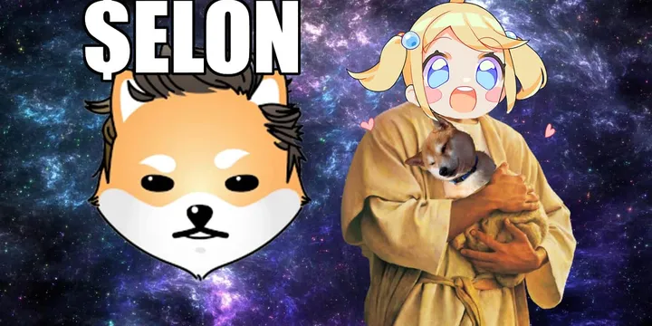 MyWaifuList Begins Accepting Dogelon $ELON